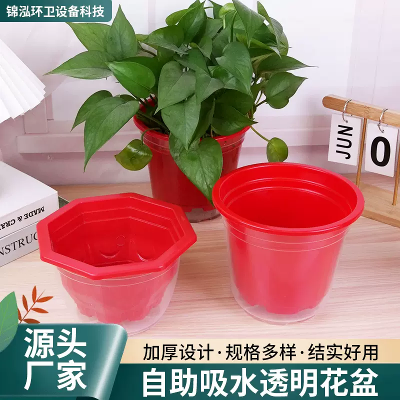 厂家懒人花盆自动吸水绿萝吊兰免浇水自吸盆塑料加厚储水自吸水