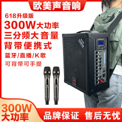 欧米の声618専門の屋外のk歌の音響は携帯型の3分の周波数の大電力のスピーカーを持って無線のマイクを持ちます。