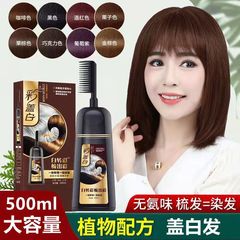 Bubble hair dye pure home dye hair cream comb natural plant cover white hair popular color whitening wholesale