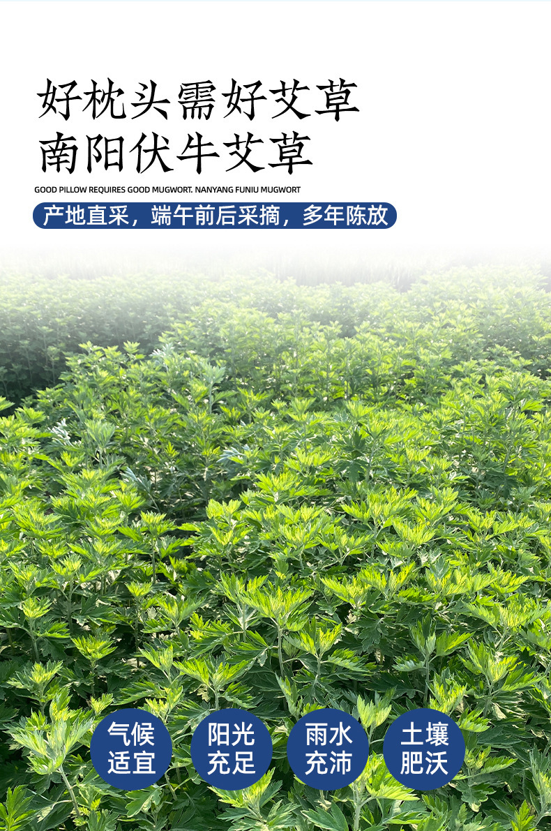 Mugwort Bone Pillow Ai Ye Cervical Neck Pillow Unheated Green Coarse Cloth Support Cushion key features