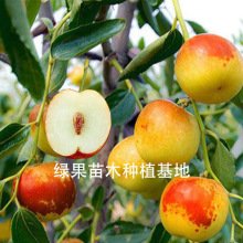 ������� ������� �������� �޽ӗ��Ә����Ϸ������Nֲ����ľ