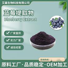 蓝莓提取物 植物提取物 蓝莓果粉 花青素25% 现货供应84082-34-8