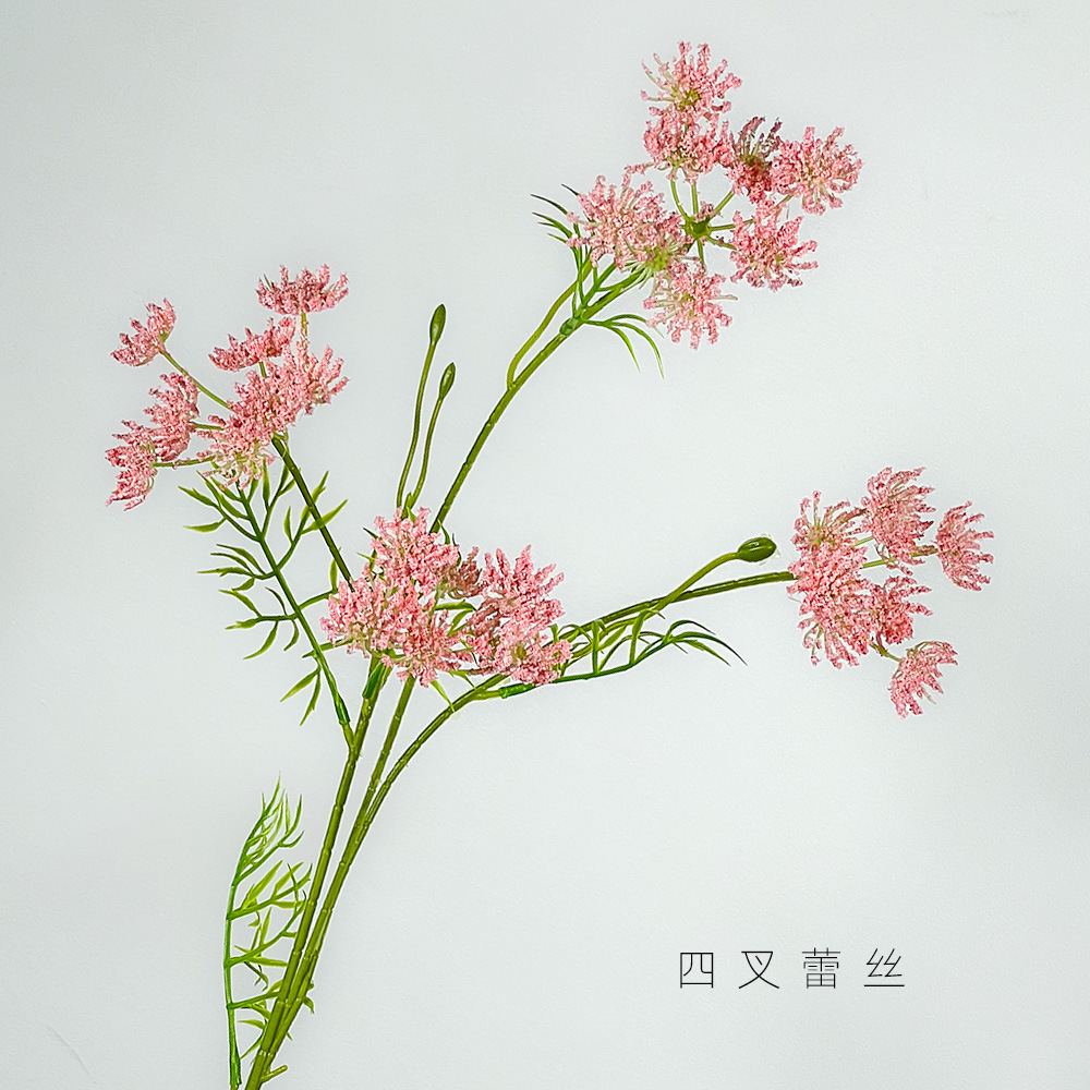 핑크색 4갈래 레이스 꽃