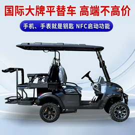 电动观光车;高尔夫球车;其他电动车
