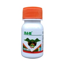 ����� 12%�׾S�}�x�\�� 30�� �߲˸��{ ���ҹ�ꚢ�x���rș