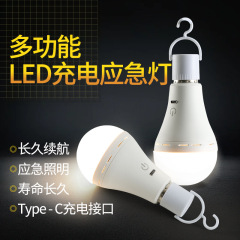 批发USB充电球泡户外摆摊夜市露营钓鱼充电款灯泡停电移动LED灯