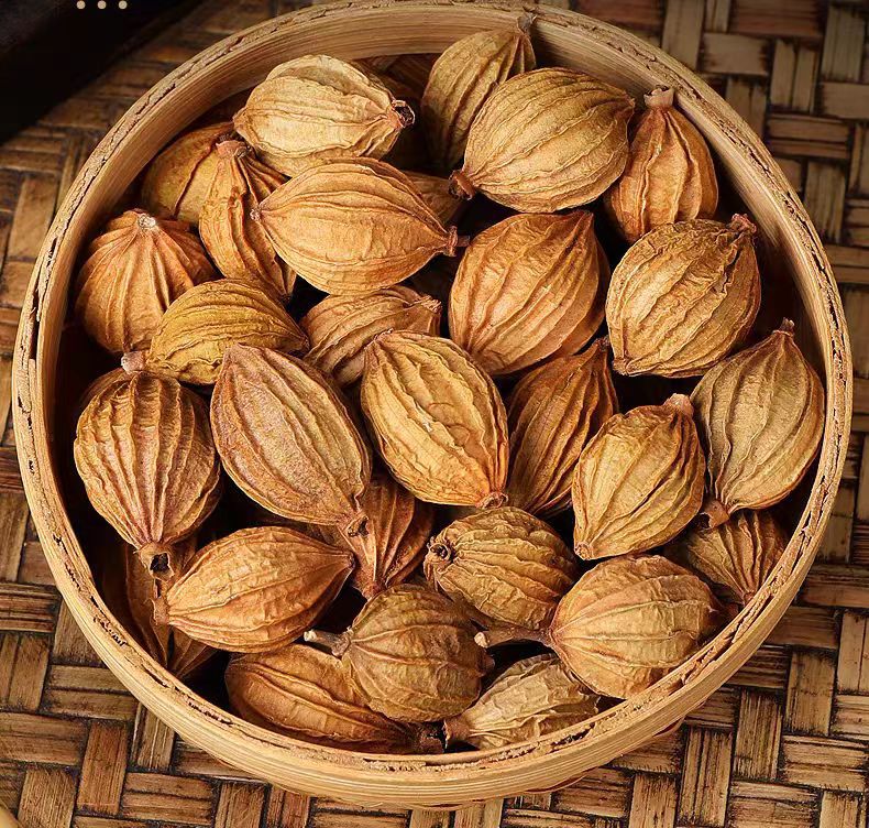 Amomum villosum 150g