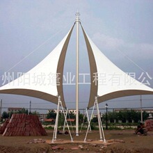 汽车棚钢结构棚景区棚张拉膜蓬造型蓬室外棚雨棚耐用防雨遮阳棚