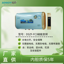 分体式磁能储水式电热水器电磁感应变频水电分离扁桶超薄厂家批发