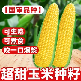 盆栽;其他园林资材;栽培基质