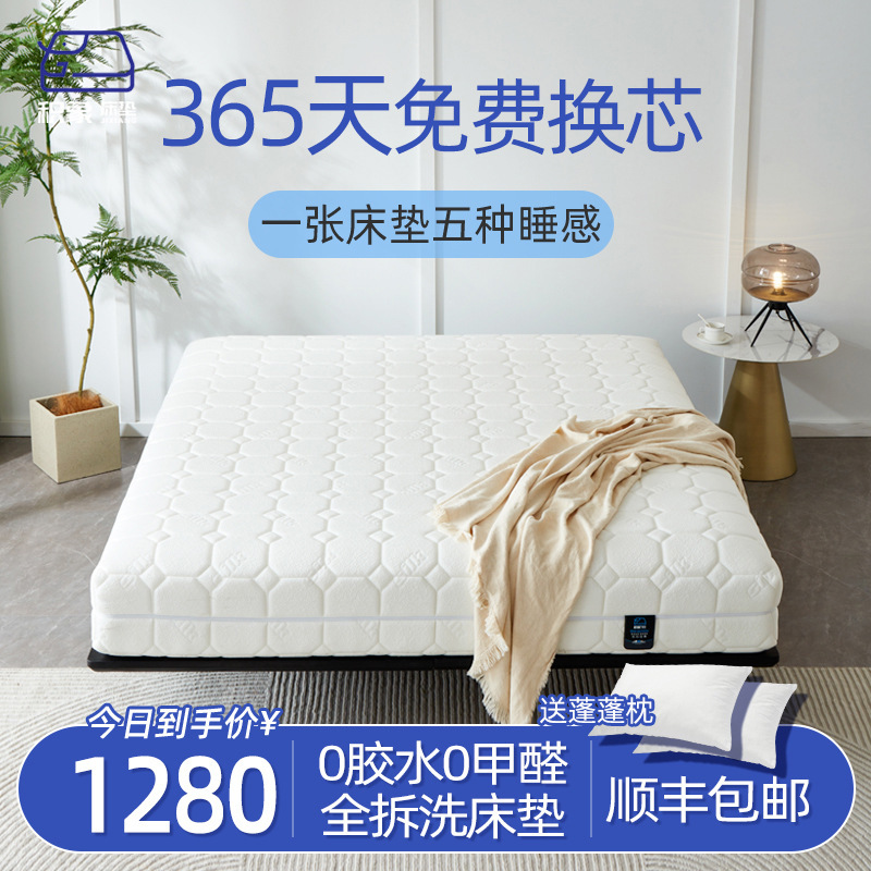 Liulmengge Fully Removable and Washable Mattress Memory Foam Spine Protector Independent Spring Soft and Hard Dual-Purpose Kidsren's Hotel Simmons