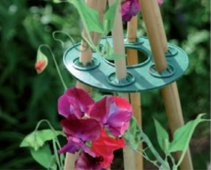 5)F(L8FFRKLX6A81AIM4RW2