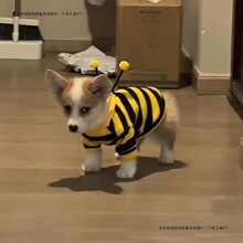 С�����·�����ů���С�۷��l����С��Ȯ؈���·��ﶬ����