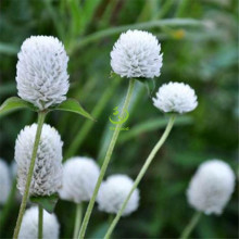 �a�ذl؛���l����ǧ�ռtǧ���ϻ������^���ܷN�Ӵ��b����