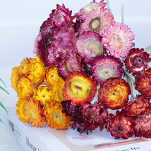 �߲ʾ�������С�ջ��ɻ��^��Ϯa�؏S�����lDIY�����Ĕz�����L��