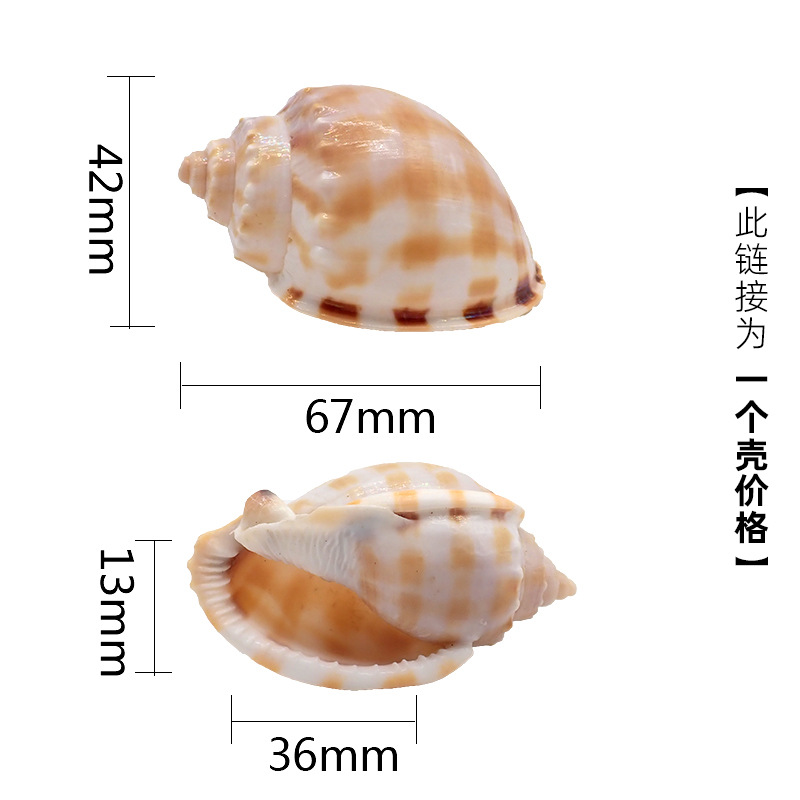 4-5cm 게에 적합한 레이크 블루 x72 중형 체스