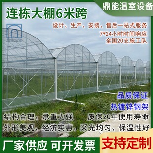 Factory direct: multi-span greenhouse | smart greenhouse solutions for summer 2026