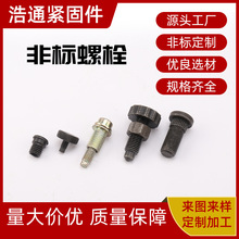 非标螺栓汽车配件螺栓异型螺栓不锈钢铁铝螺栓高强度螺栓螺母定做