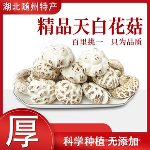 ������؛���ڼ���؛�׻�����񶬹������S���خa���_�㹽�o���