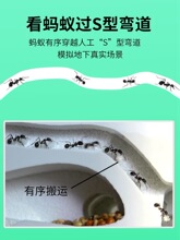 Λρ�Ǳ�Λρ�����ի@ρρ������W���WУ�����^����ρ��a��