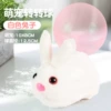 White Rabbit