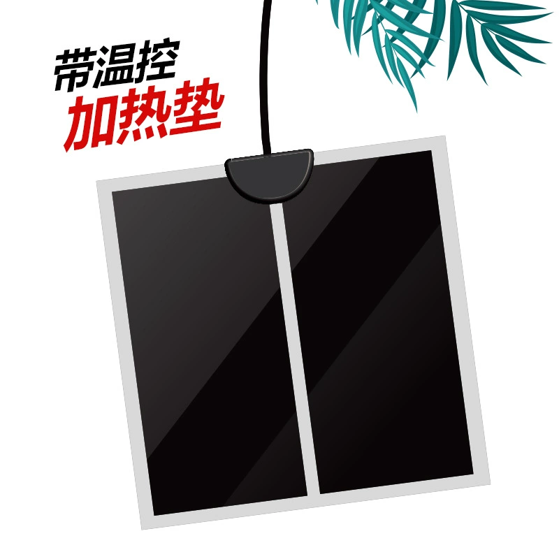 Nomo Plug Черепаха рептилия Черная грелка с контролем температуры Подъем Ящик для домашних животных Ящерица Рога паука Лягушка Черепаха