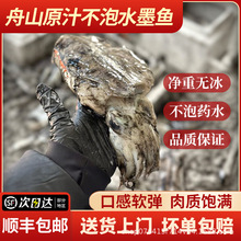 东海墨鱼新鲜冷冻目鱼八爪鱼鲜活乌贼章鱼冰鲜海鲜净重无冰包邮