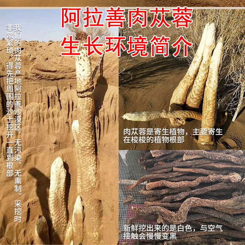 Mens Herbal Tea Blend Rou Cong Rong Ling Zhi Xi Yang Shen Huang Qi Huang Jing Gou Qi 110g 10 Bags Cold Brew Wellness Tea overview