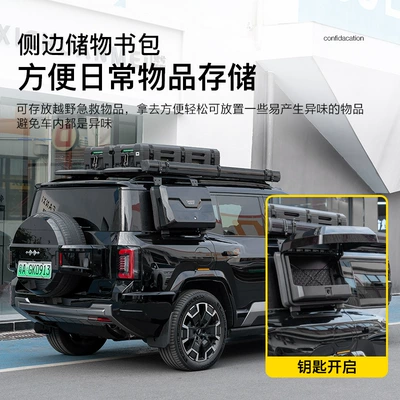 Roof rack — Roof Platform Baja Leopard 8 Luggage