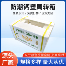 PP蔬菜保鲜箱水果中转保鲜箱PE防潮透气运输中空板箱钙塑中空板箱