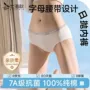 灭菌大码女士旅行内裤