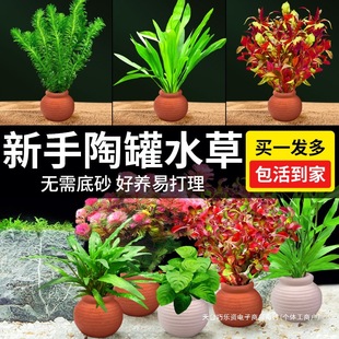 ˮ���~���쾰�[���������ˮ���žG�����݃�ˮ��ֲ�չ�ˮ���ײ�