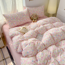 Aĸ뼉ᘿްļ׼Ӻ黨״