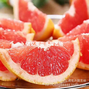 ��������������Ʒ�N���Ә����ڼ޽������ϱ����Nֲ���Ե��d������
