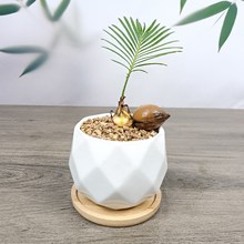 �F���K�F�����k������X����͏d��ו����Gֲ���Է�ݗ�����^�≺