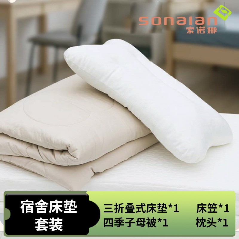 Sonalan Student Dormitory Mattress Pillow Quilt Set Single Folding Mattress Pillow Quilt Set for All Seasons