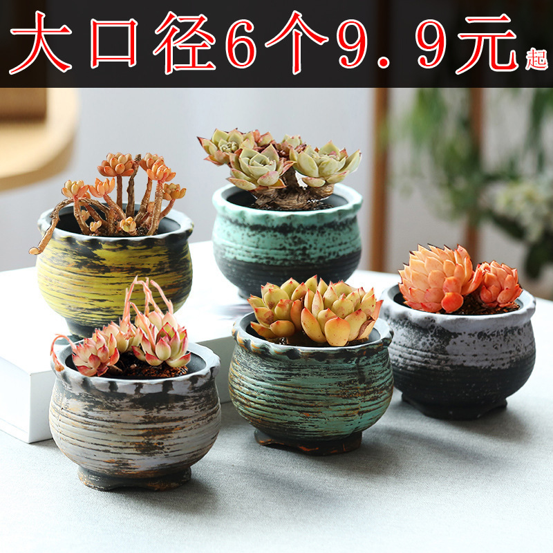 多肉花盆陶瓷特价清仓大口径透气粗陶盆栽创意植物盆栽肉肉小拇指