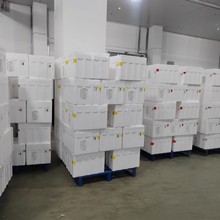 马来西亚进口D24苏丹王榴莲新鲜树上熟带壳液氮冷冻批发代发