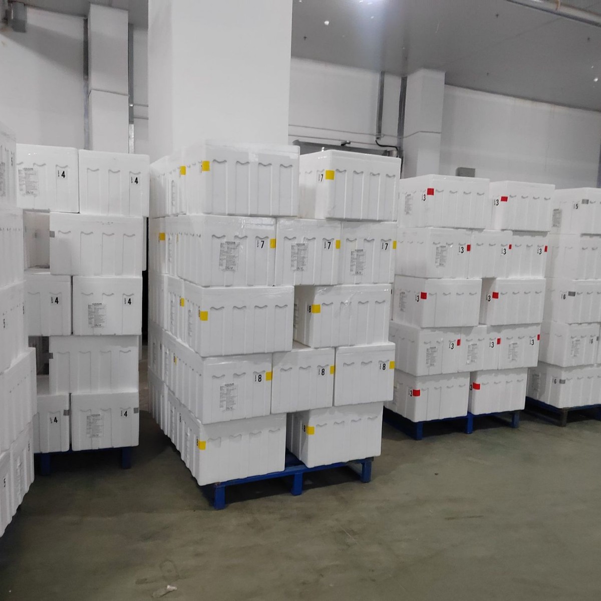 马来西亚进口D24苏丹王榴莲新鲜树上熟带壳液氮冷冻批发代发