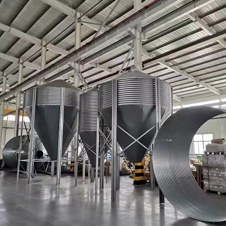 微信圖片_20241023083441