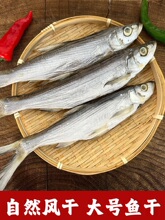 ���հ��c̫���h�خa�N���~�����~���D�~�����~��ˮ���~��500g���]