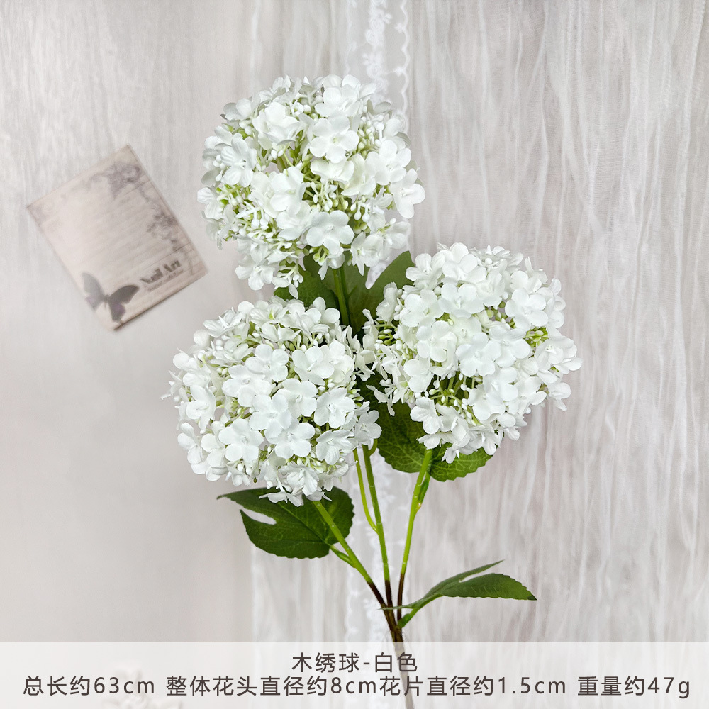MJ - ไฮเดรนเยีย - สีขาว