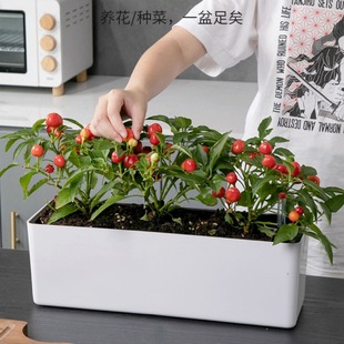 Factory direct selling rectangular resin Lazy self -absorbing flower pot balcony vegetable basin pork meat green dill planting flower tank