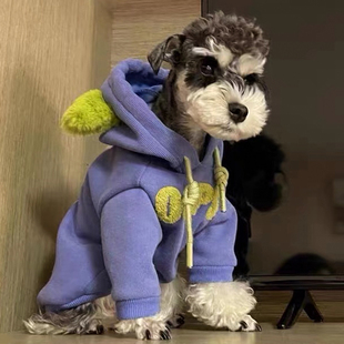 Schnauzer Dog Clothes Autumn and Winter Teddy Bichon Small Puppy Thickeneded Sweatshirt Pet Cat Trendy Brand Lizhi