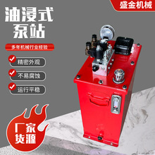 非标动力单元液压系统升降平台货梯电动液压站静音液压油浸式泵站