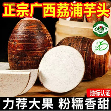 �V���������r�����^�������^�������^����F��ë���^���]����