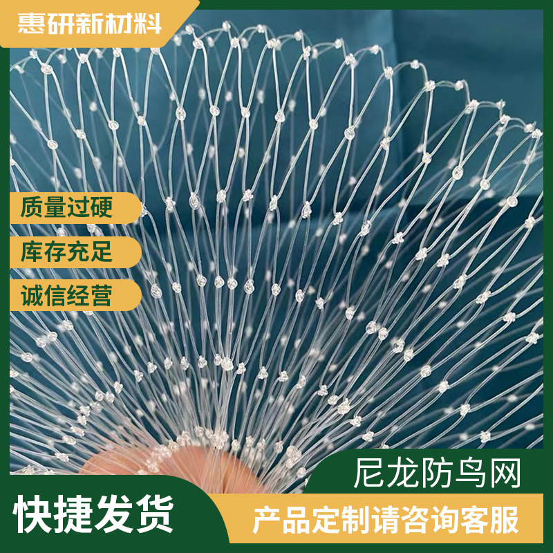 透明網果樹園防鳥網ブドウ防鳥網家禽網養殖網子ナイロン網防護網|undefined