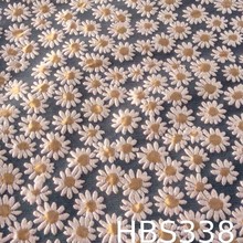 SҼпͨСrỨϸɫ͹С黨ŮbЬ