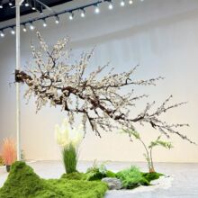 �����÷���Ғ��쾰�Ȓ�ֱ���g�[��ܛ�b÷���t÷�D÷�쾰�������