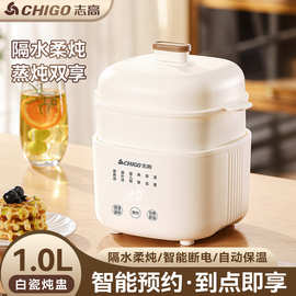 志高隔水电炖锅预约熬粥专用锅bb煲汤炖盅迷你隔水炖电炖锅多功能